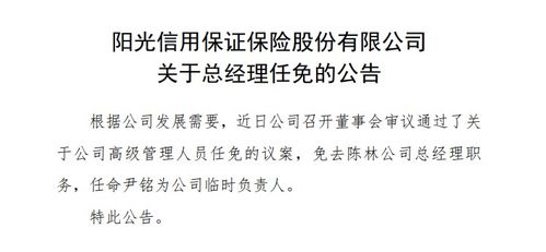 尹銘出任陽光信保臨時負責(zé)人 曾任螞蟻副總裁