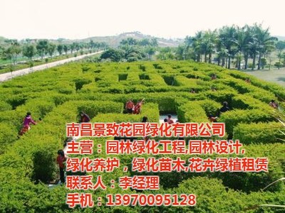 青山湖區園林綠化苗木租賃，一鍵解鎖“花園工廠”新美學